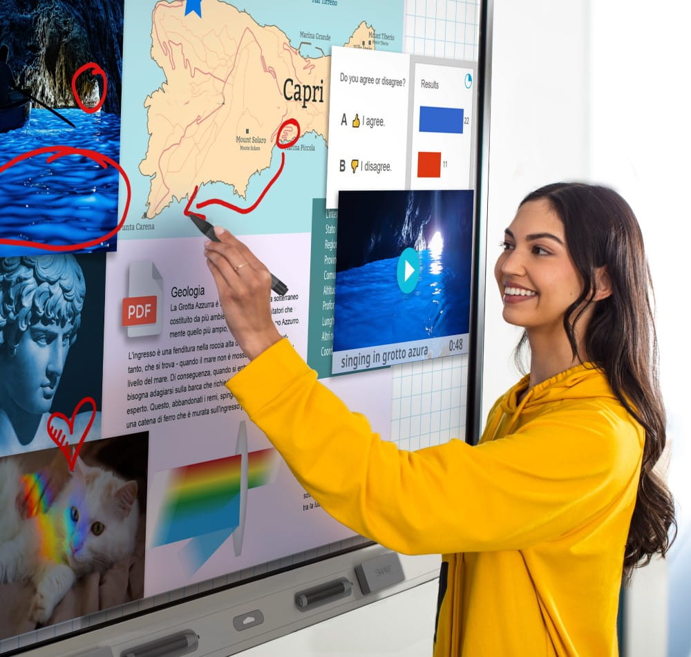 Interactive deals whiteboard device