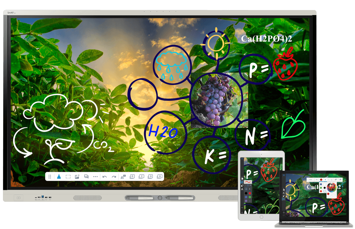 A SMART Board display illustrates plant growth with scribbled annotations around an image of green leaves under sunlight, exemplifying interactive learning in the process of photosynthesis.