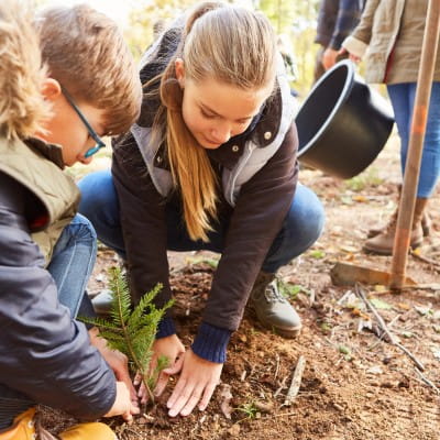 Students planting trees in a wooded area while learning the importance of sustainability.